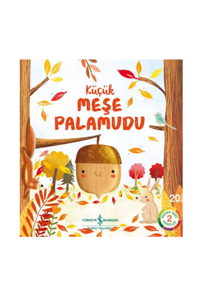 Küçük Meşe Palamudu – Doğanın Eşsiz Hikâyeleri 2