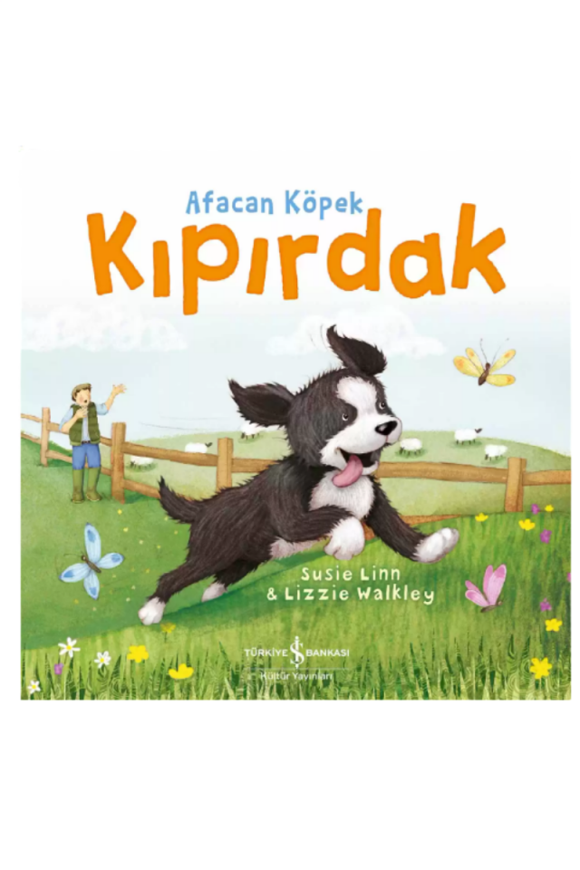 Afacan Köpek Kıpırdak