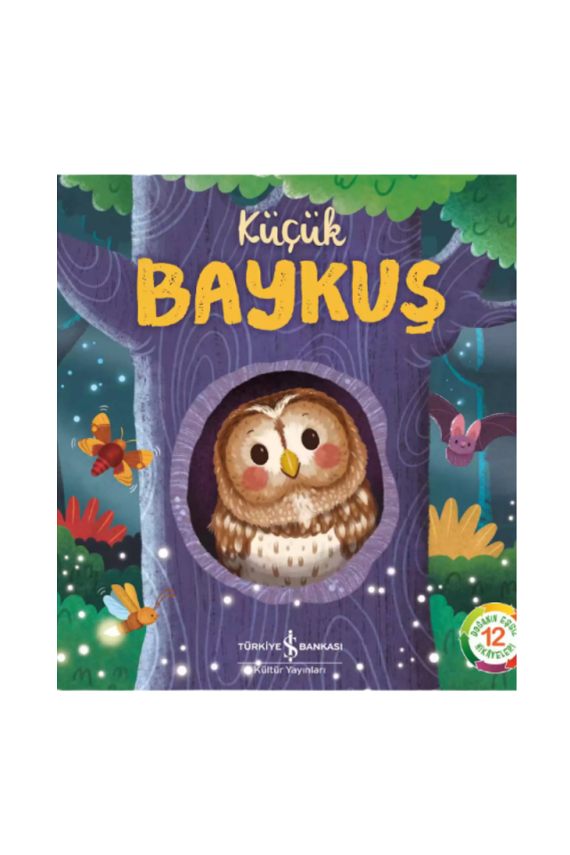 Küçük Baykuş – Doğanın Eşsiz Hikâyeleri 12